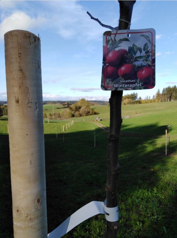 Diplomaten in Gummistiefeln 3/5