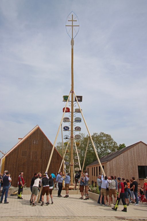 Maibaum von oben - Georg Schober