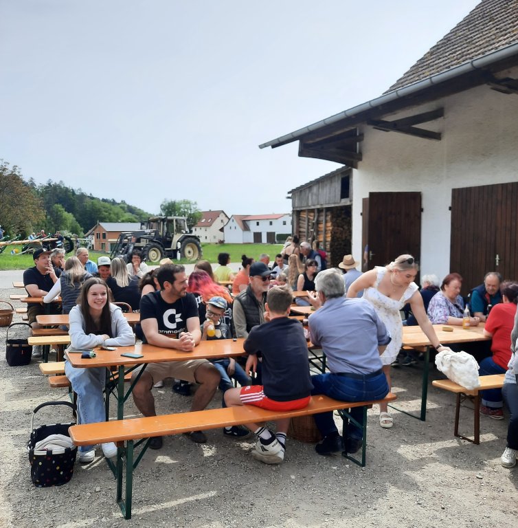 Maibaum Kreutenbach 2024 - gut besucht