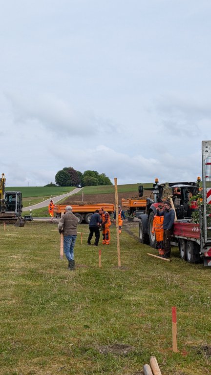 Pflanzaktion STS - Gemeinde - ausstecken 2- von Martin Koch Pflanzaktion STS - Gemeinde - ausstecken 2- von Martin Koch