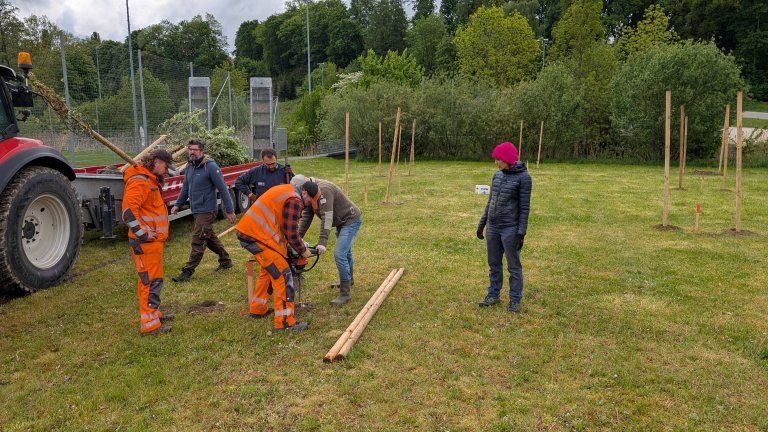 Pflanzaktion STS - Gemeinde - bohren - von Martin Koch Pflanzaktion STS - Gemeinde - bohren - von Martin Koch
