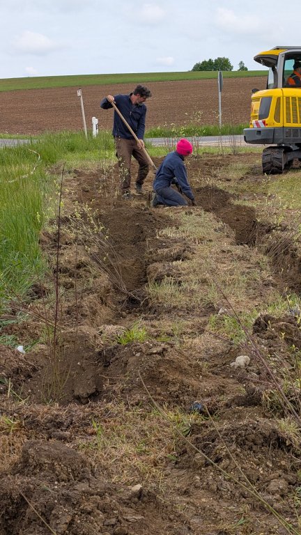 Pflanzaktion STS - Gemeinde - graben - von Martin Koch Pflanzaktion STS - Gemeinde - graben - von Martin Koch