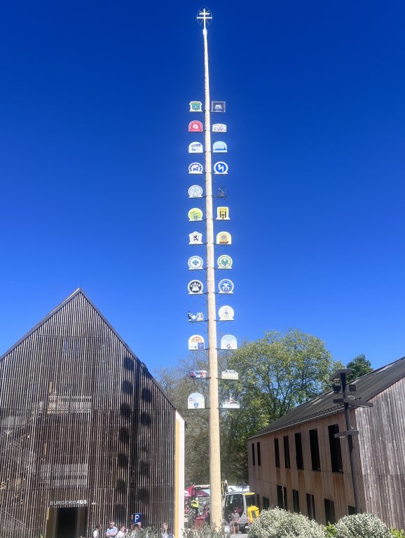 Maibaum 2026 - fertig Maibaum 2026 - fertig
